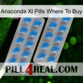 Anaconda Xl Pills Where To Buy 23